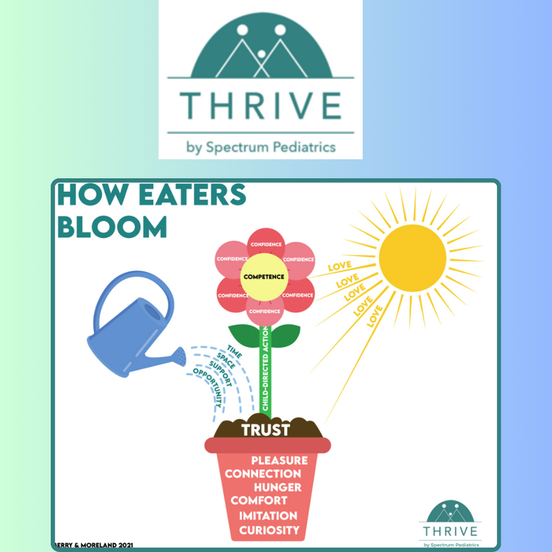 How Eaters Bloom poster - thrive by spectrum pediatrics